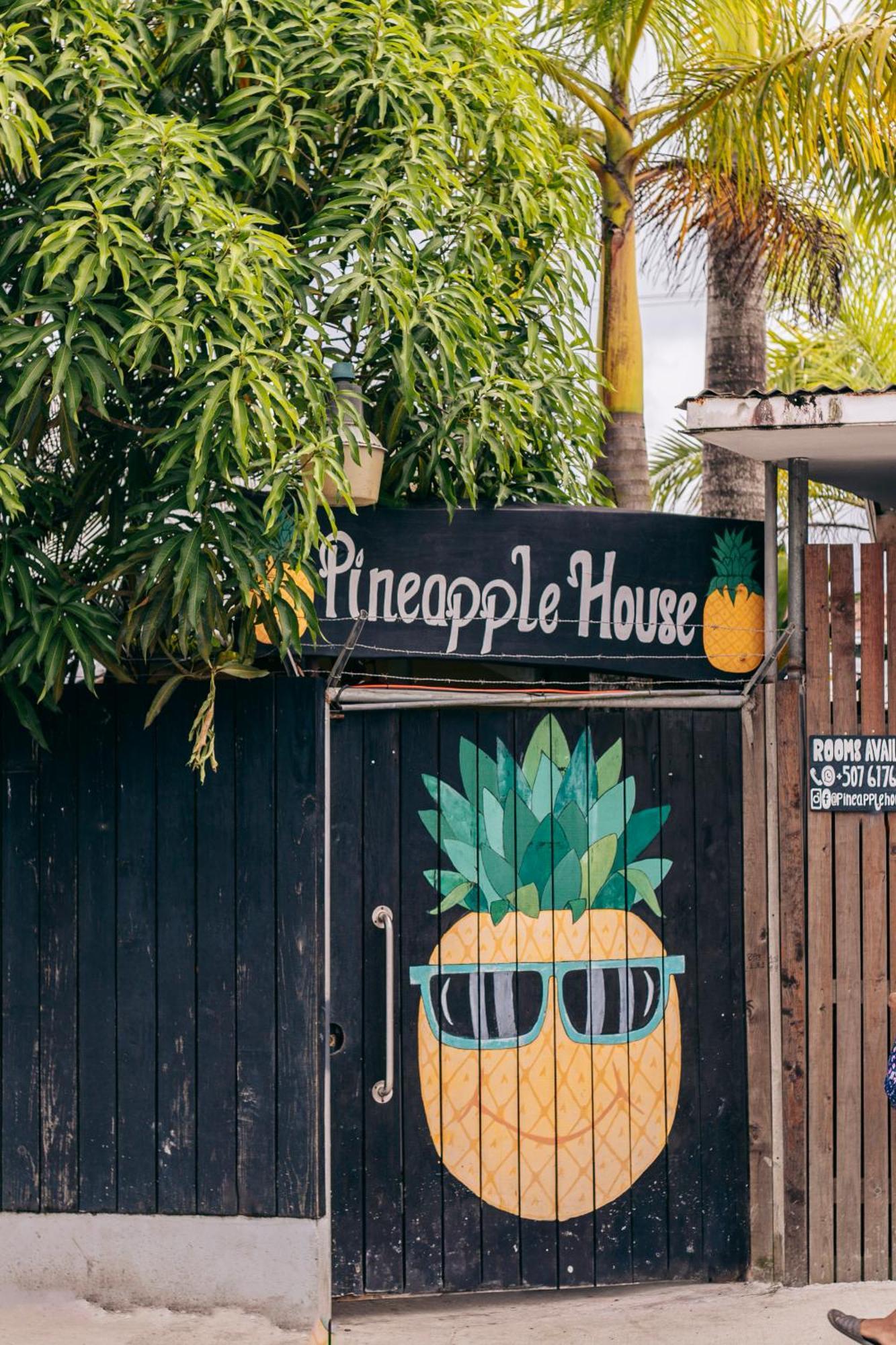 Pineapple House Hotel Bocas del Toro Buitenkant foto